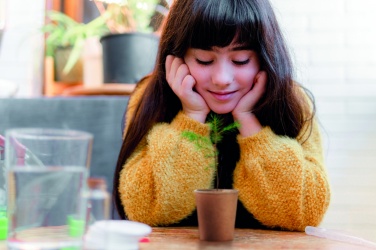 Logotrade Logogeschenke das Foto: Kiefernsamen-Set