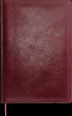 Logotrade Geschäftsgeschenke das Foto: Kalender 645131