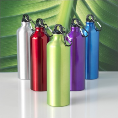 Logotrade corporate gift picture of: Oregon 770 ml aluminium water bottle with carabiner