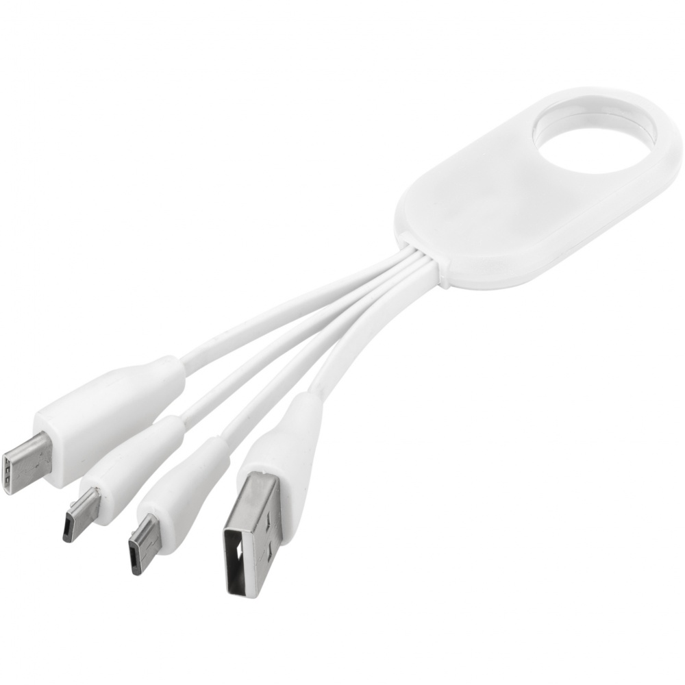 Logo trade promotional merchandise picture of: Troup 4-in-1 charging cable with type-C tip