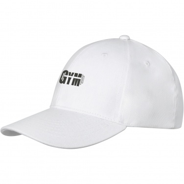 Logo trade promotional gifts picture of: Davis 6 panel cap