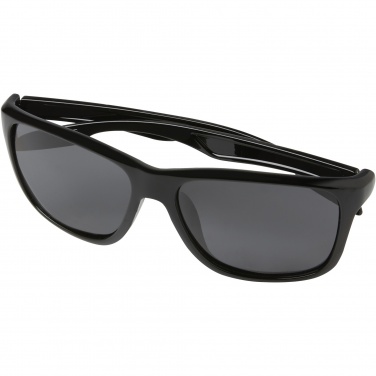 Logotrade promotional merchandise image of: Eiger polarized sunglasses in recycled PET casing
