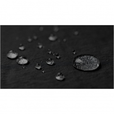 Logotrade promotional item image of: Trailhead GRS recycled lightweight fanny pack 2.5L