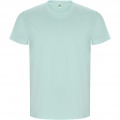 Golden short sleeve men's t-shirt, Mint