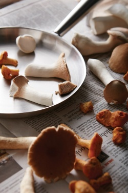 Logotrade corporate gift picture of: VINGA Vici Outdoor Pan