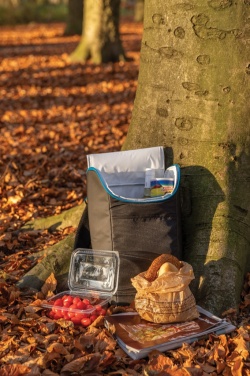 Logotrade promotional giveaways photo of: Explorer outdoor cooler backpack