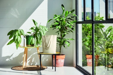 Logotrade business gift image of: Canvas shopping bag 270 gr/m²