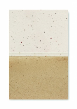 Logotrade promotional giveaway image of: Grass/seed paper memo pad