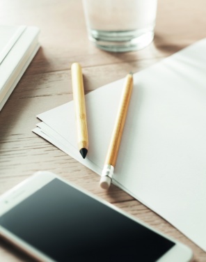 Logo trade promotional gift photo of: Long lasting inkless pen