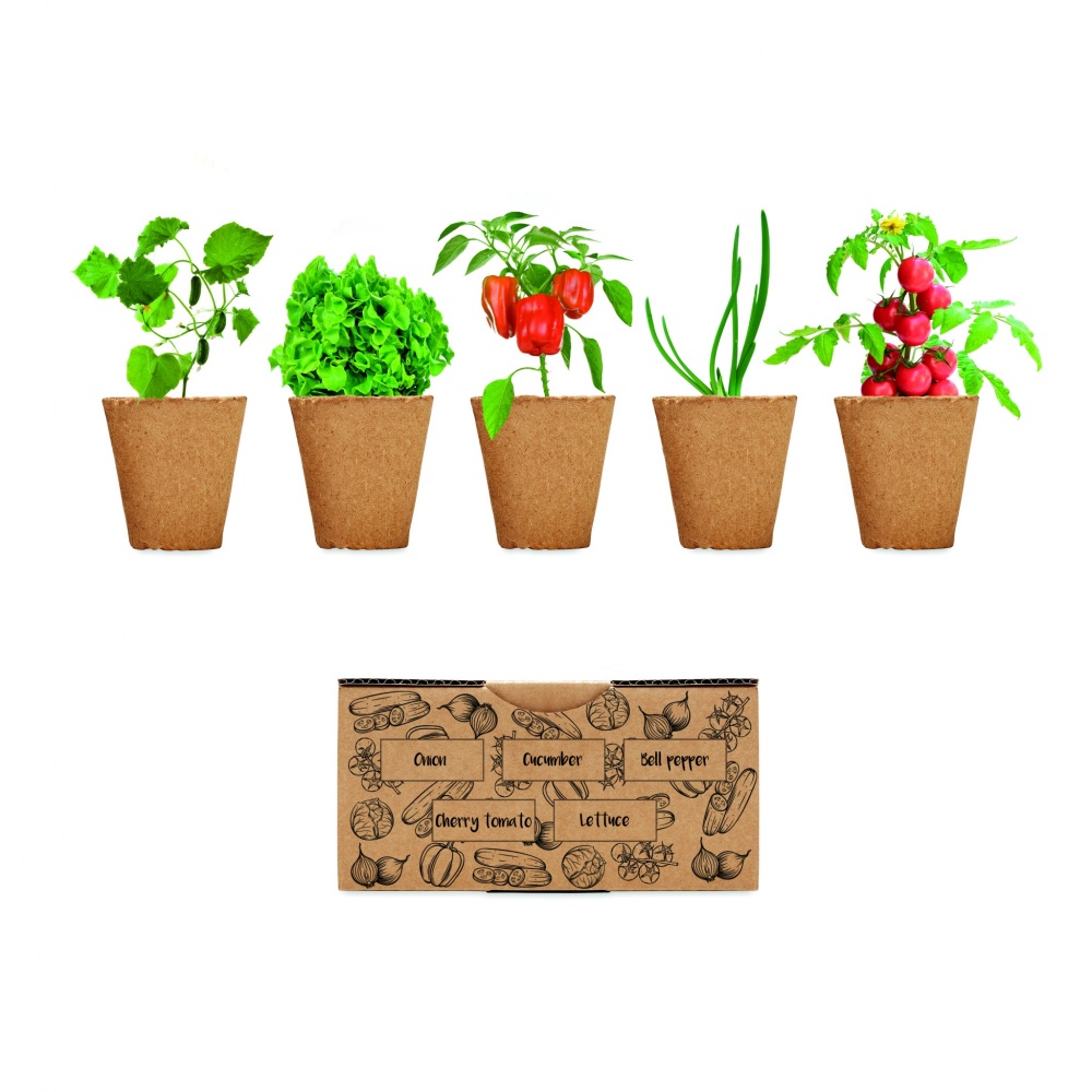 Logotrade promotional giveaway picture of: Salad growing kit