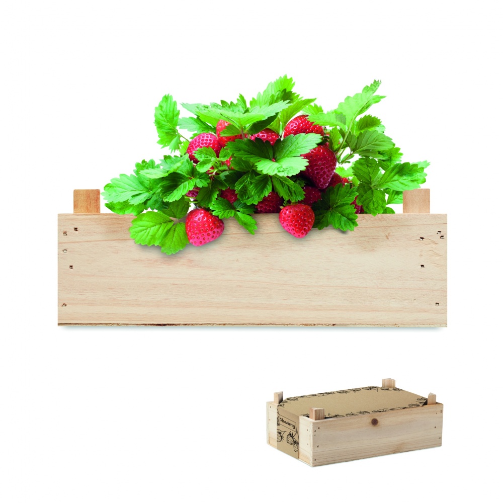 Logo trade promotional giveaways picture of: Strawberry kit in wooden crate