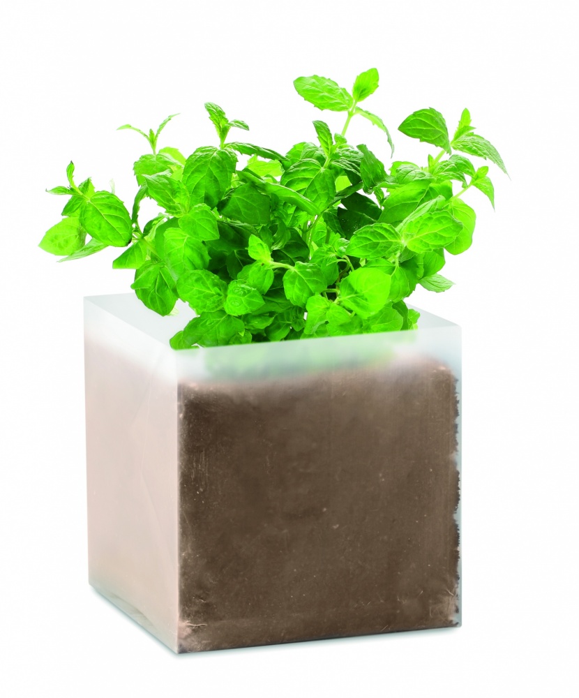 Logo trade promotional giveaway photo of: Compost with seeds "MINT"