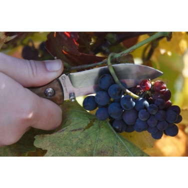 Logo trade corporate gift photo of: Pocket knife JUNGLE Schwarzwolf