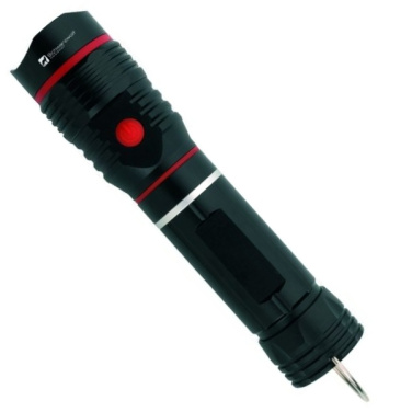 Logotrade promotional giveaway image of: Flashlight BIWA Schwarzwolf