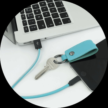 Logo trade promotional gifts picture of: Keyring 59612900