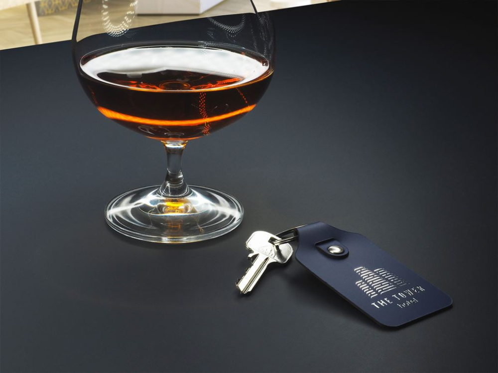 Logotrade promotional giveaways photo of: Keyring 1200094