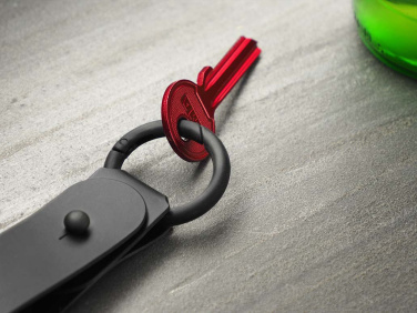 Logotrade promotional item picture of: Keyring 1709094