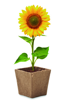 Logo trade business gifts image of: Sunflower growing kit