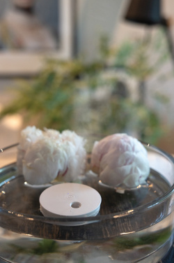 Logo trade corporate gifts image of: Breevia RCS rplasic re-chargeable floating humidifier