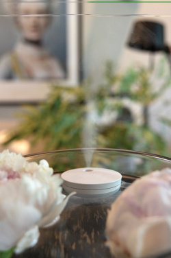 Logo trade promotional giveaway photo of: Breevia RCS rplasic re-chargeable floating humidifier