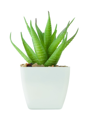 Logotrade promotional giveaways photo of: Mini artificial plant