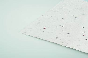 Logo trade promotional products picture of: Wildflower seed business card.