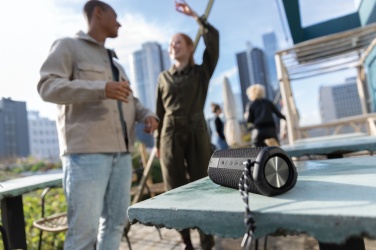 Logotrade firmakingi foto: Urban Vitamin Berkeley IPX7 veekindel 10W kõlar