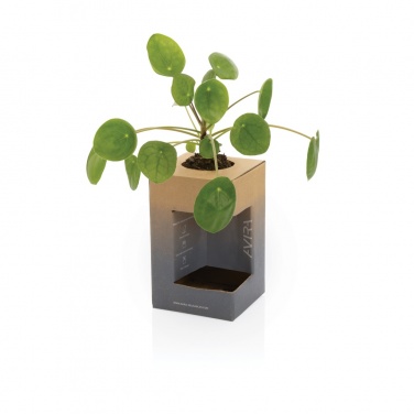 Logotrade reklaamtoote foto: Avira Alya RCS Re-steel termostops 300 ml