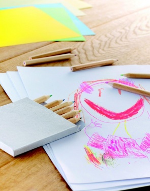 Logo trade firmakingi pilt: 12 värvilise pliiatsi komplekti