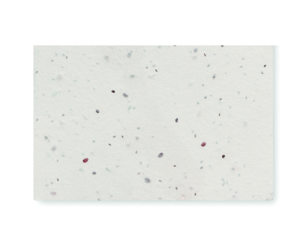 Logotrade mainostuote tuotekuva: Luonnonkukkien siementen käynti