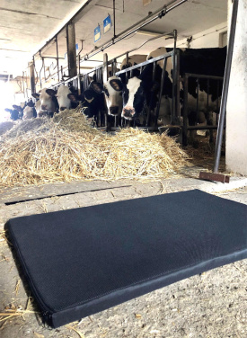 Logotrade firminės dovanos nuotrauka: Dezinfekcinis kilimėlis 100x150x3cm 1369087